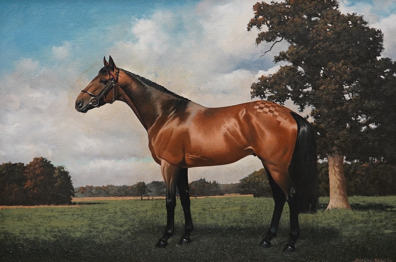 Jean Glenn Mitchell (20th. C), Equestrian interest, oil on canvas, Study of a racehorse, signed and dated '88, 50 x 75cm. Condition - fair, would benefit from a clean